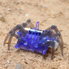 Robot Spider Build Kit